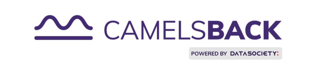 camelsback powered by data society logo