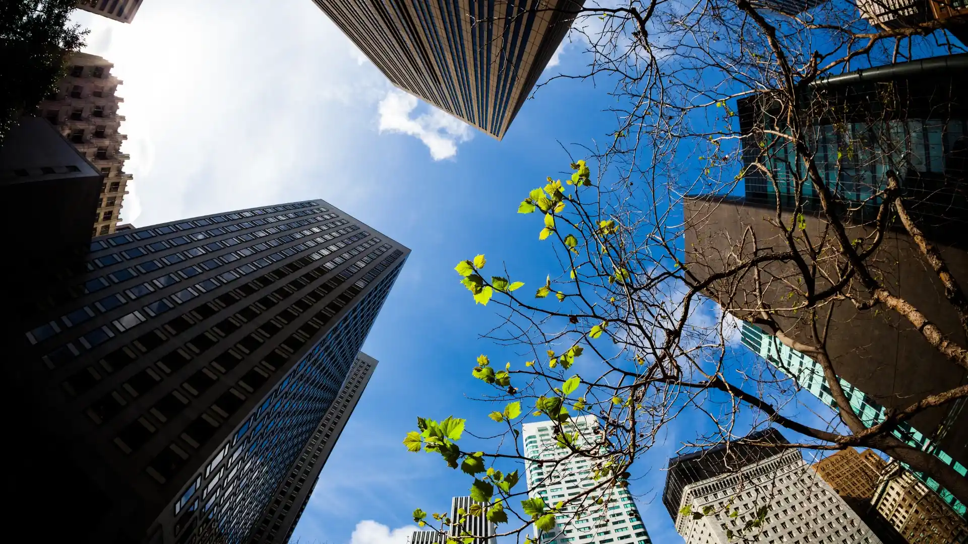 Sustaining AI and the Environment
