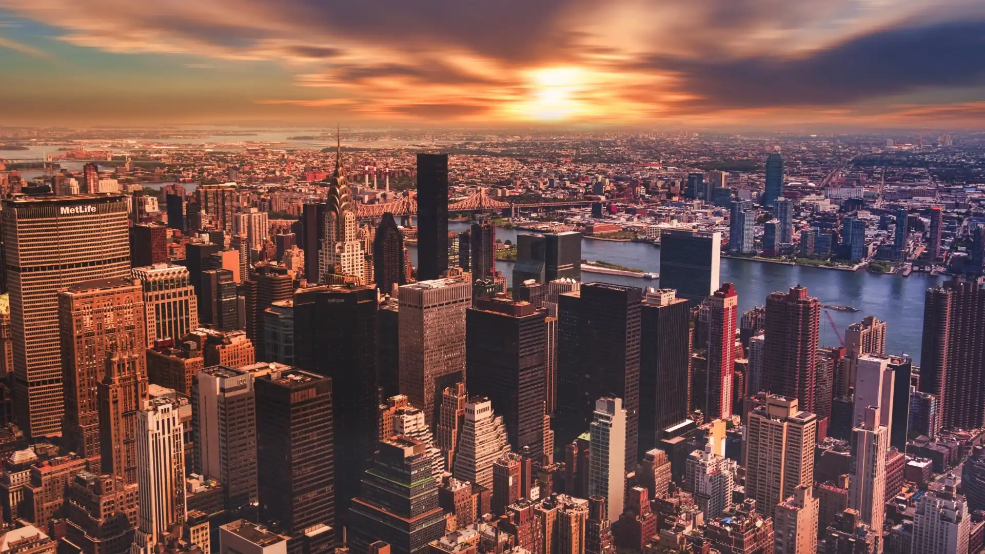 Bringing Our Environmental Convictions Into Our Digital Lives