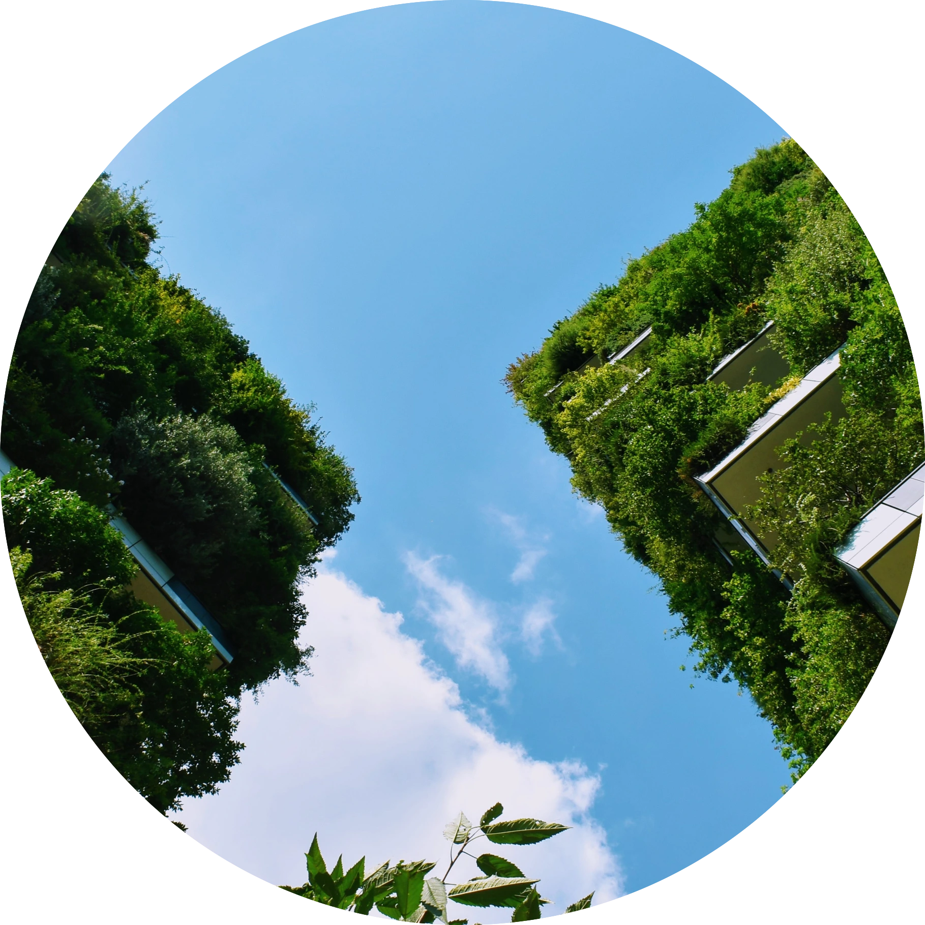 AI-driven sustainability