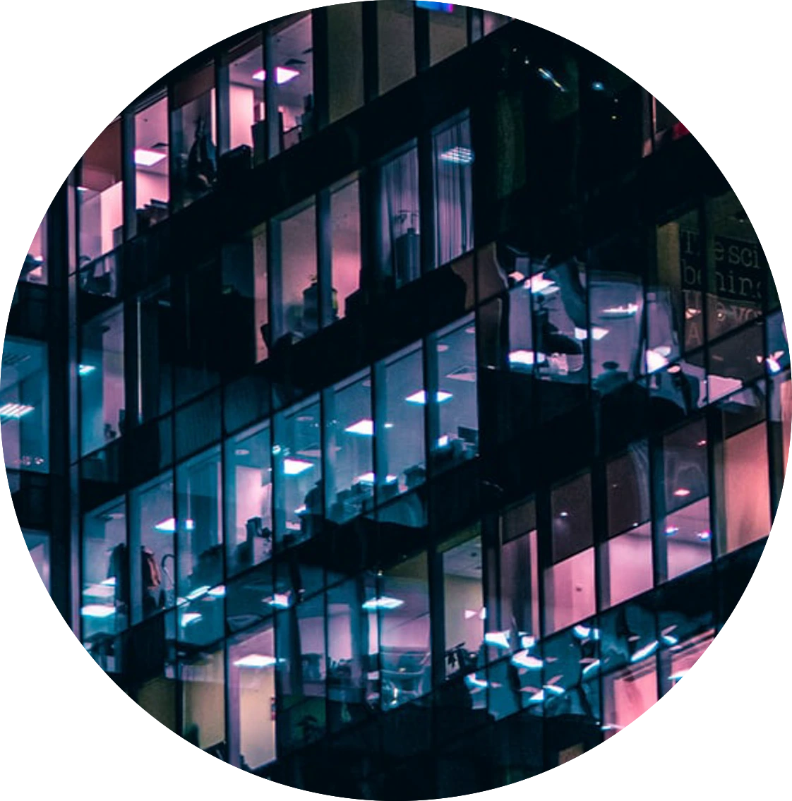 Digital Sustainability